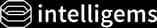 Intelligems logo, Boost technology partner